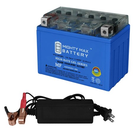 MIGHTY MAX BATTERY MAX3870454